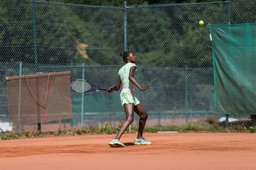 Noma Noha Akugue 318 - Amato Caffe Open